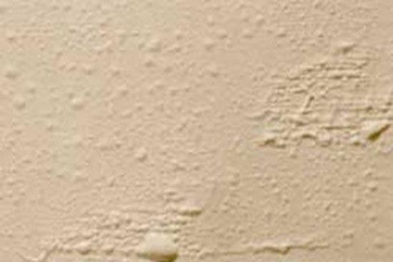 1-1Q2191K050922 1-1Q2191K050922